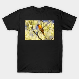 I Know Why The Caged Bird Sings T-Shirt